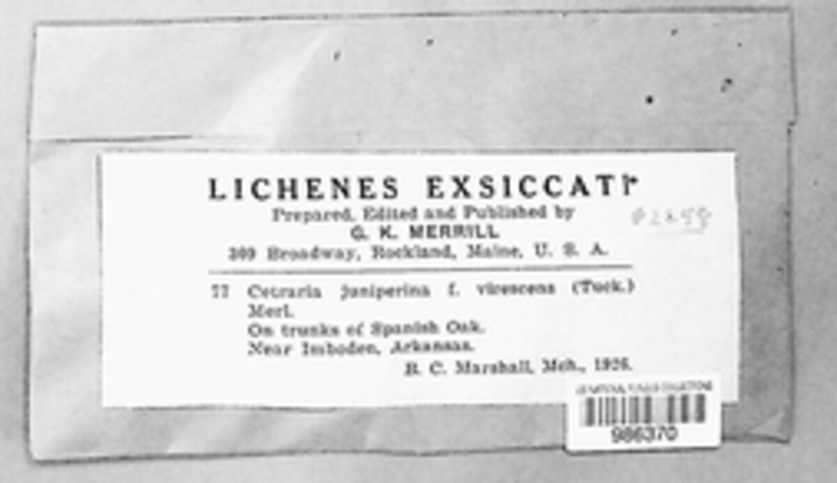 Vulpicida juniperinus image